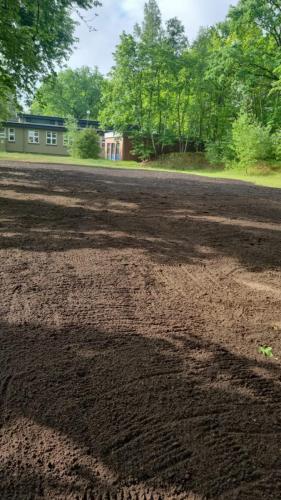 Neue Rasenfläche - 2 von 2