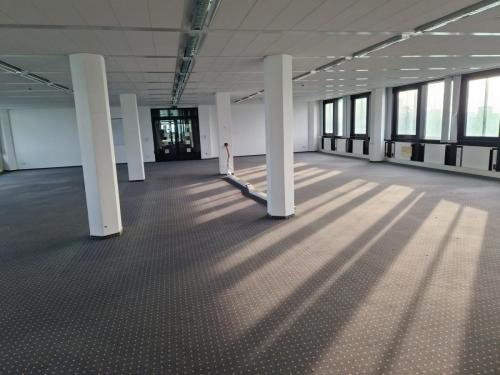 Vor Beginn der Entkernung - 2 von 2