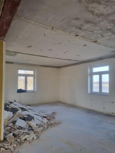 Entkernung - 2 von 7