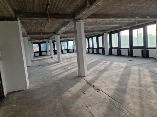 Entkernung vollendet - 2 von 2